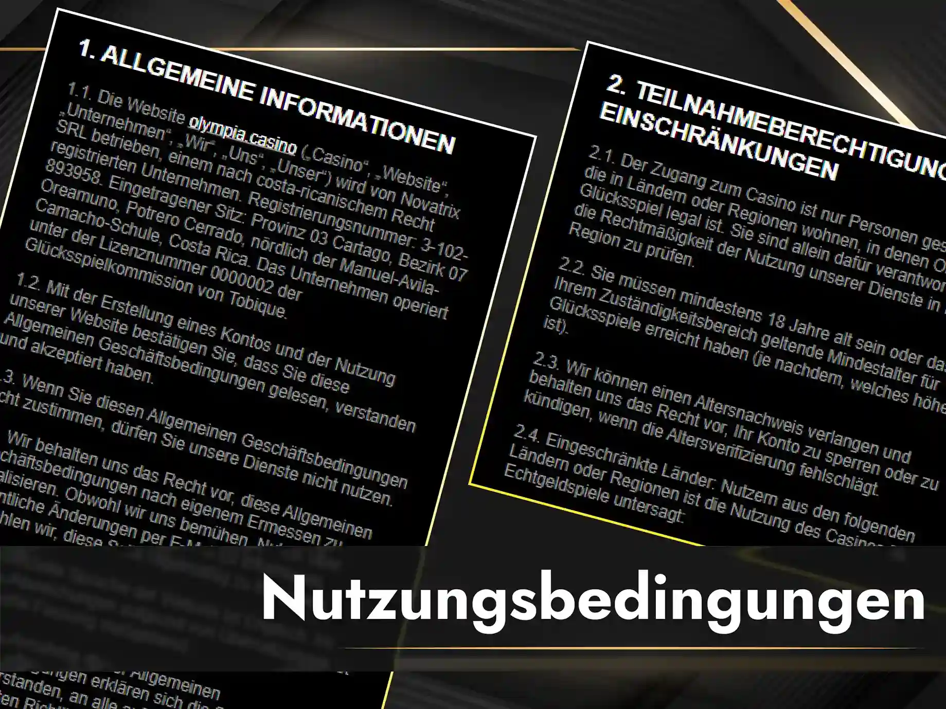 Allgemeine Geschäftsbedingungen und Nutzungsregeln der Olympia Plattform.